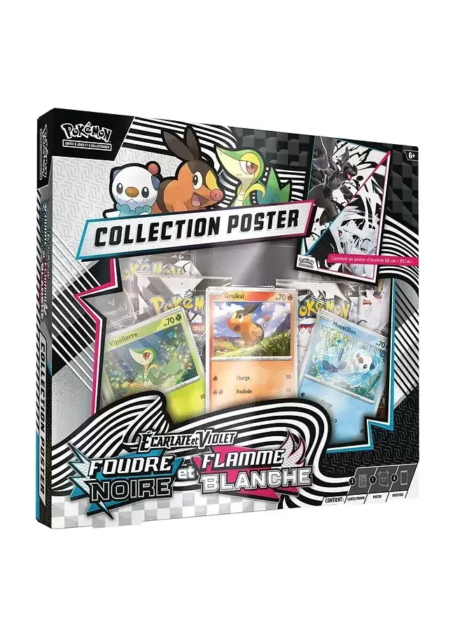 Coffret Poster - Foudre Noire & Flamme Blanche.webp